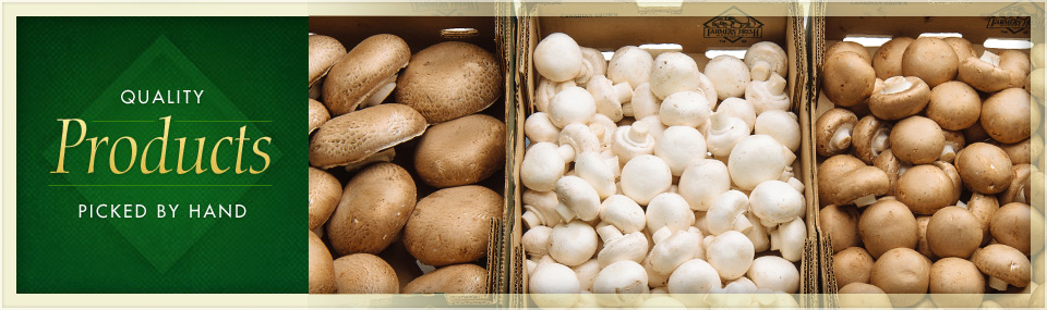 variety of organic mushrooms in bulk boxes