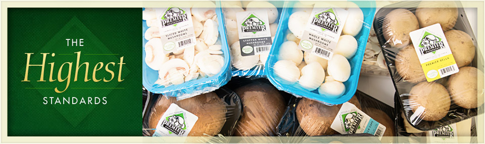 different types of packaged premier mushrooms