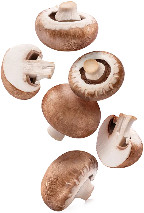 brown-crimini-mushrooms-vertical