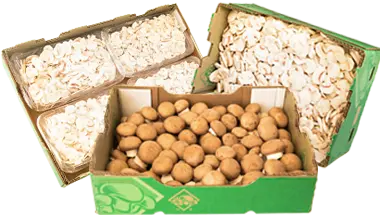 bulk-boxed-sliced.webp