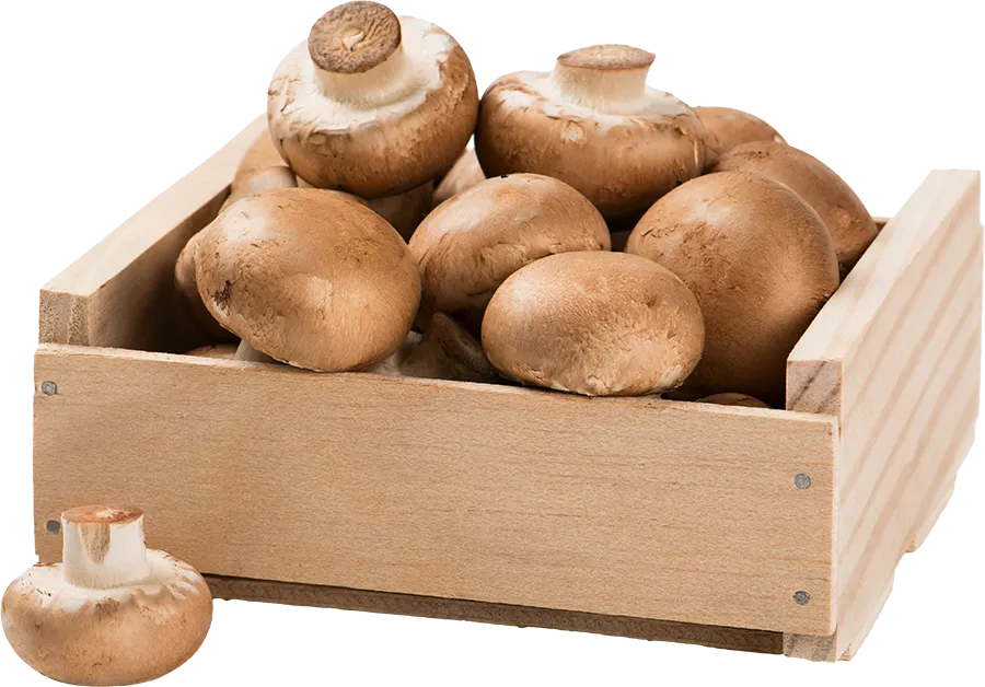 Brown (crimini) mushrooms in a wooden box