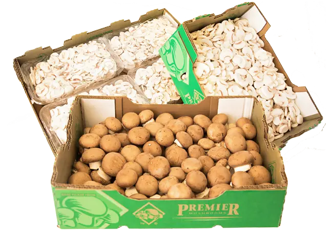 PM-Bulk-white-sliced-whole-brown-mushrooms