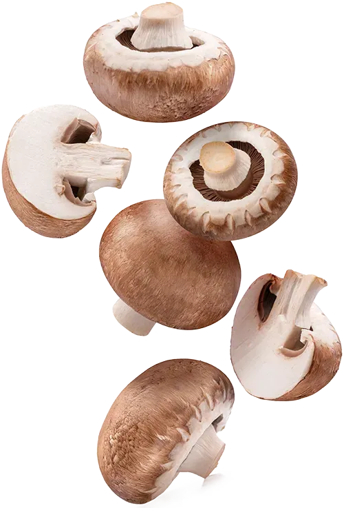 Brown (crimini) mushrooms tumbling vertically