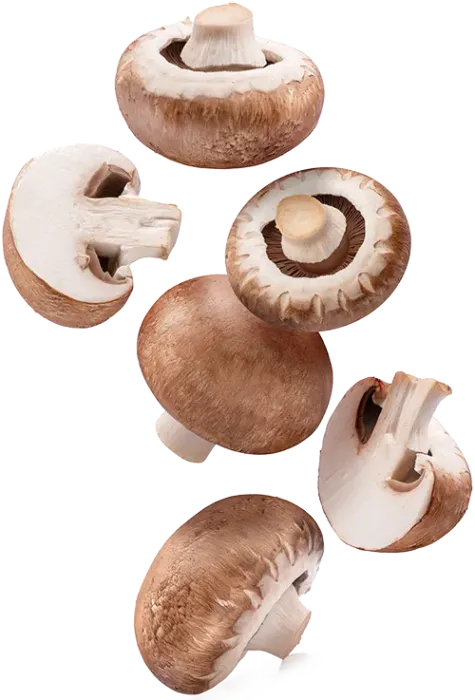 brown-crimini-mushrooms-vertical