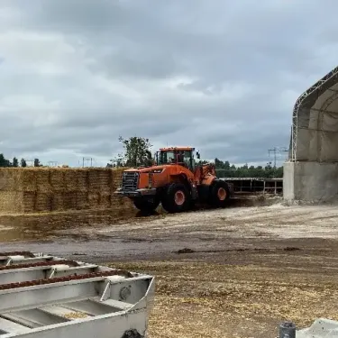 compost-1-2