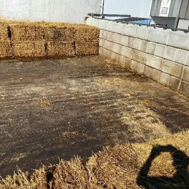 compost-2-1