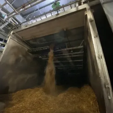 compost-7