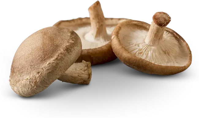 shiitake-mushrooms
