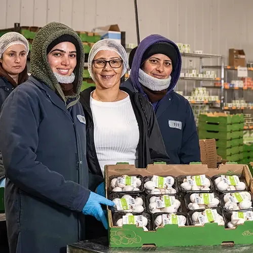 Staff standing in front of packaged mushrooms
