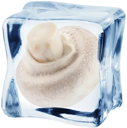 A white mushroom frozen in an ice cube