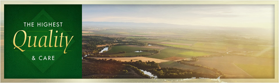 Sacramento River Valley, California