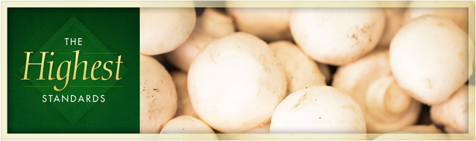 Close up of multiple white whole mushrooms